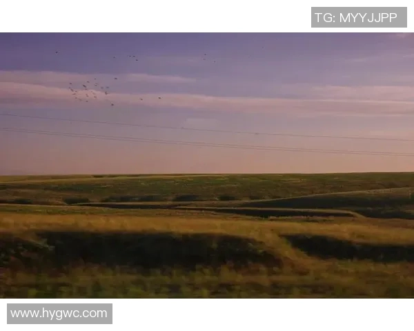 哈萨克斯坦的文化魅力与自然风光探秘之旅